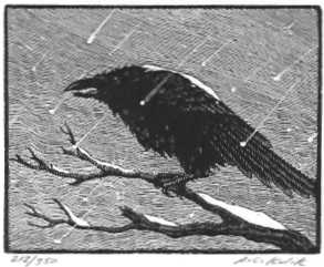 Crow inthe Snow